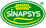 logo_sinapsys-150